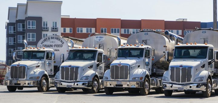Four polished Peterbilt semi‑trucks with bulk grain trailers parked in an industrial yard.
