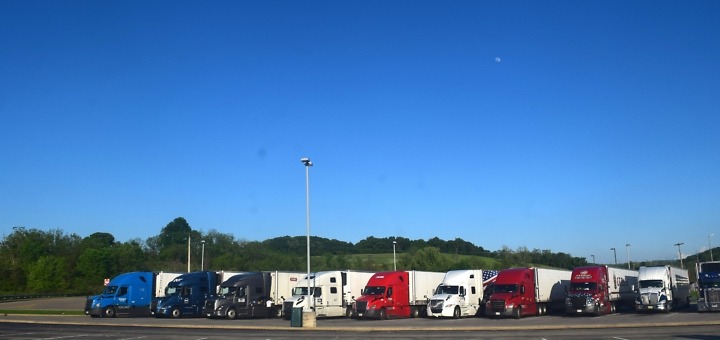 Blue, black, white and red tractor-trailers parked in a row beneath a clear blue sky.
